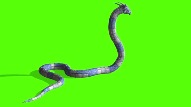 Animazione Dell Attacco Snake Python Green Screen — Video Stock