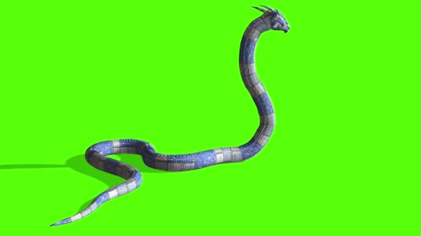 蛇头攻击动画 Python Green Screen — 图库视频影像
