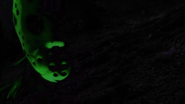 Animatie Hologram Stijl Horror Zombie Met Effecten Gemengde Techniekvan Twee — Stockvideo