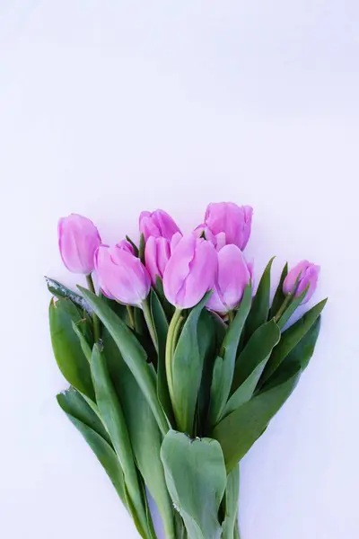 Beyaz kar karşı mor laleler