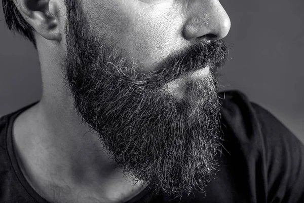Closeup Young Man Beard Mustache Gray Background Perfect Beard — Stock Photo, Image