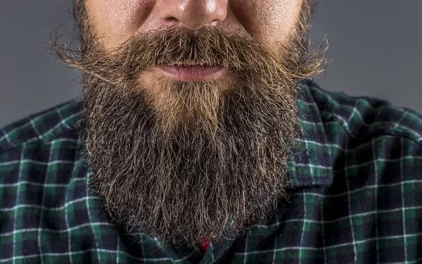 Primer Plano Hombre Barba Bigote Sobre Fondo Gris —  Fotos de Stock