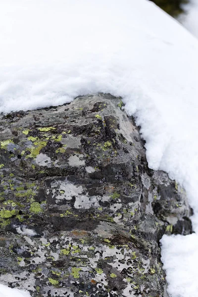 Крупный План Скалы Покрытой Свежим Снегом — стоковое фото