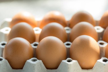 Yumurta, Tavuk Yumurtası 