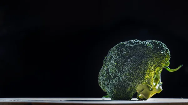 Tek brokoli karanlık — Stok fotoğraf