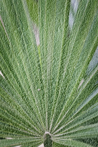 Textura pozadí řádku — Stock fotografie