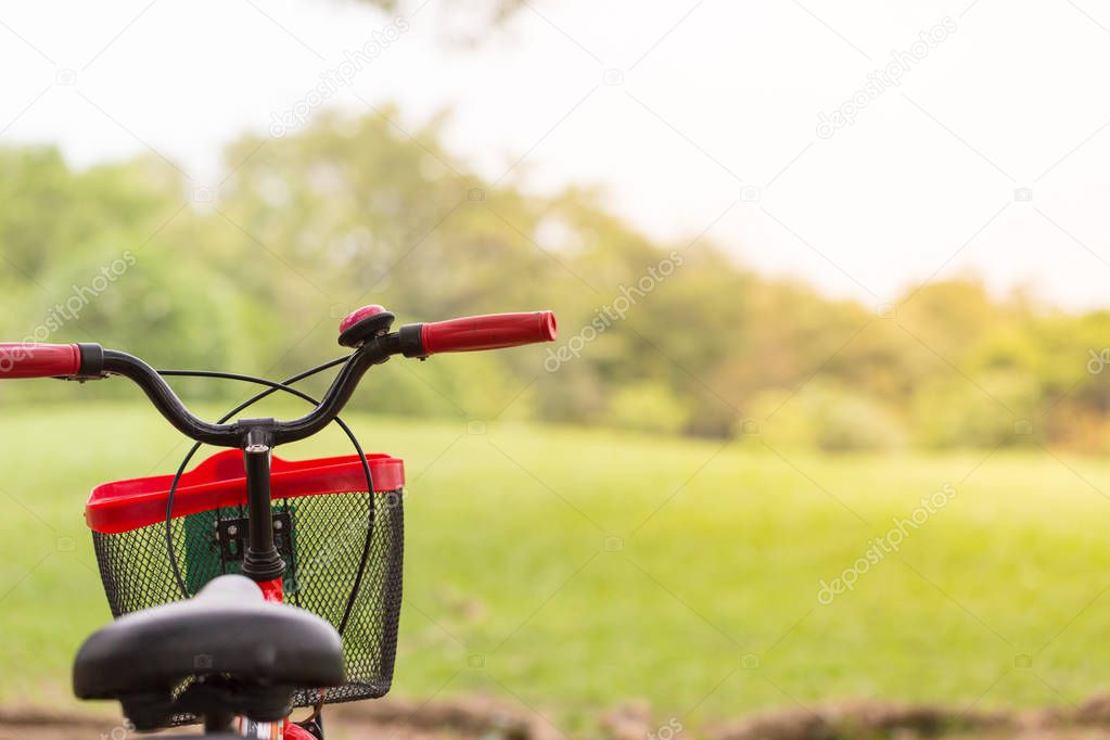 Red bicycle on park