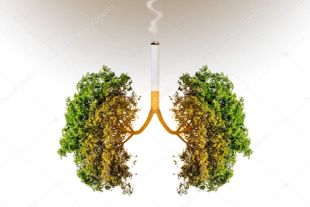 green tree lungs 