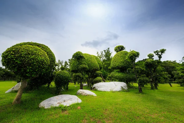 Árbol fresco parque —  Fotos de Stock