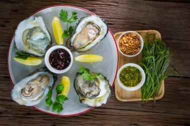 limon taze istiridye