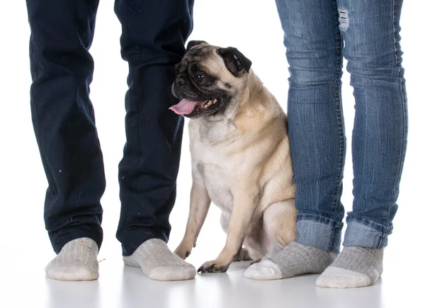 Perro sentado a los pies propietarios —  Fotos de Stock