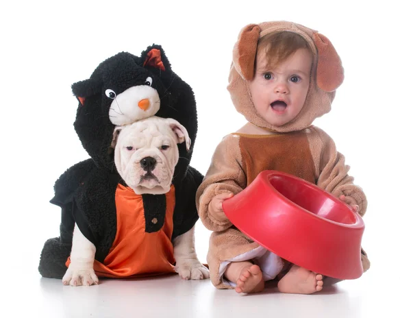 Little girl with bulldog — Stock Photo, Image