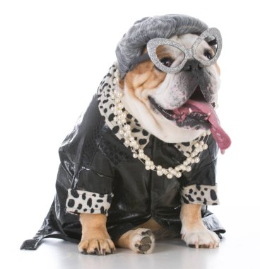 üst düzey kadın bulldog