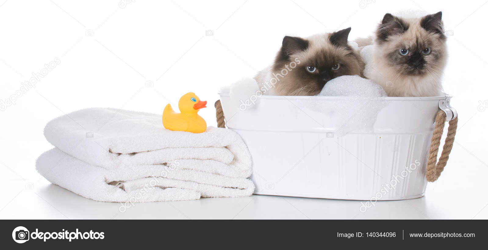 Küvet kedi Stok fotoğrafçılık ©willeecole Telifsiz resim 140344096
