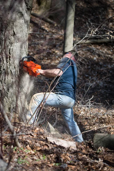 Man cutting tree down with chainsaw — Stock Photo, Image