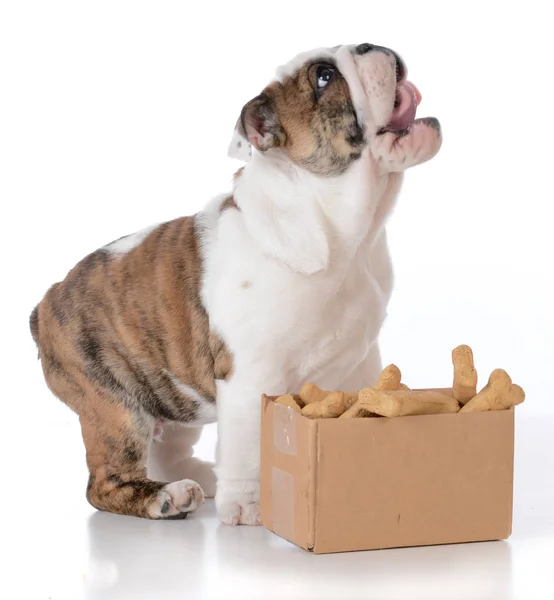 Denken buiten de doos — Stockfoto