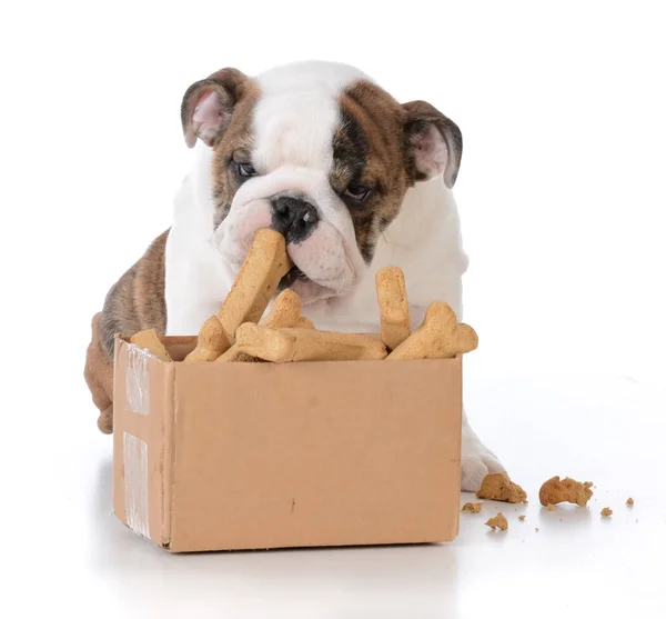 Denken buiten de doos — Stockfoto