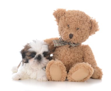 bir arkadaşı ile güvenlik