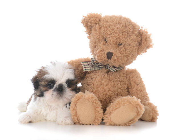 безопасность с другом
