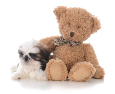 bir arkadaşı ile güvenlik