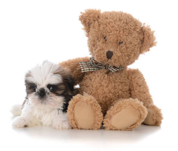 безопасность с другом
