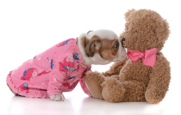 Puppy klaar voor bed — Stockfoto