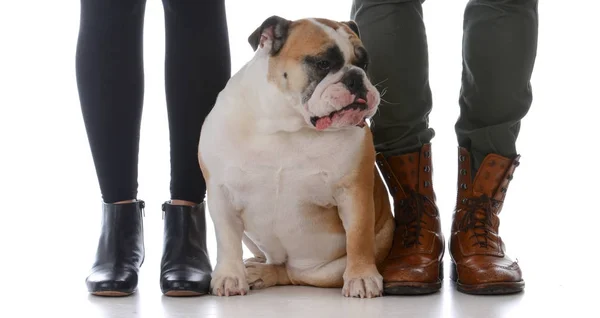 Familj med deras hund — Stockfoto