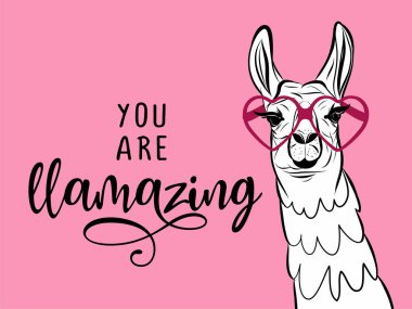 You are llamazing - funny vector quotes and llama drawing. Lettering poster or t-shirt textile graphic design. / Amazing llama character illustration on isolated pink background. clipart