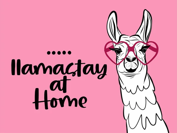 Llamastay Llama Stay Namaste Home 自己のためのテキストを含む文字のタイポグラフィのポスター 手書き文字のスクリプト動機記号は単語のアートデザインをキャッチします ヴィンテージスタイルのモノクロームイラスト — ストックベクタ