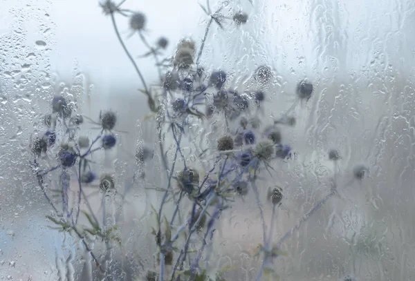 Des Gouttes Pluie Automnale Sur Une Vitre Contre Paysage Urbain — Photo