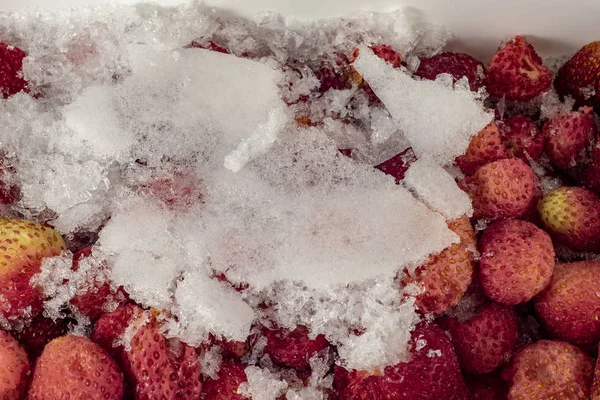 얼어붙은 딸기를 클로즈업합니다 위에서 내려다보면 — 스톡 사진