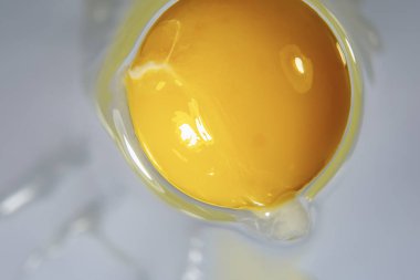 Parlak sarı tavuk yumurtası. Yakın plan..