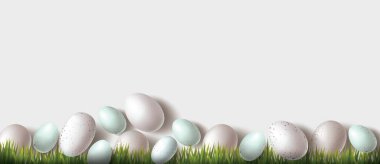 Bahar yeşili çimlerde doğal yumurta süslemeli Paskalya Geceniz kutlu olsun. Beyaz tavuk yumurtaları ve mavi bıldırcın yumurtası. Düz yatıyordu. Üst Manzara. Vektör
