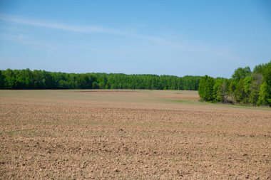 sabah, çayır, göl doğa görüntüleri