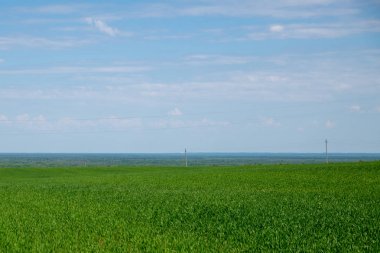 sabah, çayır, göl doğa görüntüleri