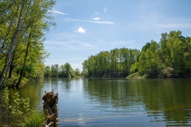 sabah, çayır, göl doğa görüntüleri