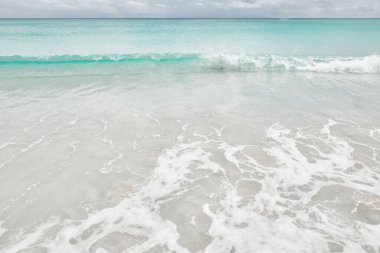 Okyanus kıyısındaki kumlu sahil