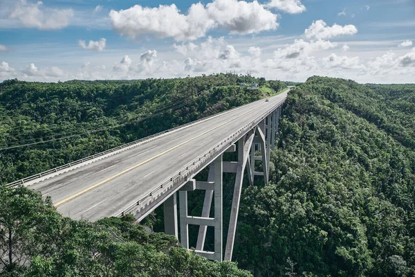 Tropiklerdeki geniş yol köprüsü