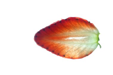 Bahçeden toplanmış çilek dilimi..