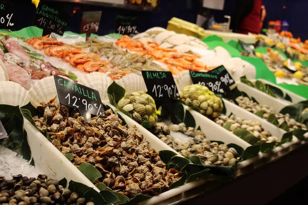 Marcas Preço Frutos Mar Shellfish Camarão Peixe Mercado Boqueria Barcelona — Fotografia de Stock