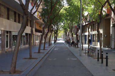 Barcelona, Katalonya, İspanya 'da ağaçlarla çevrili sessiz, rahat bir cadde (Carrer de Ribes)