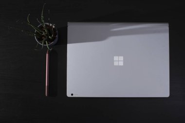 Not Defteri Yüzey Kitabı ve Stylus yüzey kalemi bir saksı bitkisi ile ahşap bir masa üzerinde