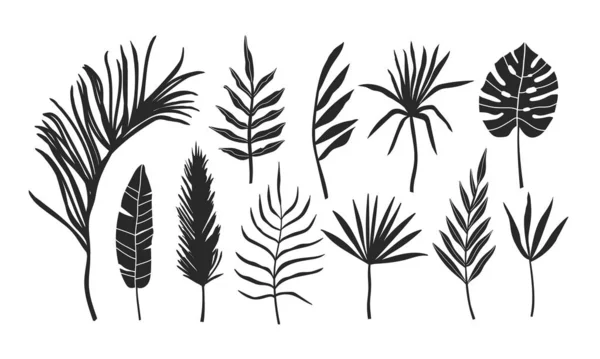Σύνολο Σιλουετών Από Φύλλα Φοίνικα Που Απομονώνονται Λευκό Φόντο Εικονογράφηση — Διανυσματικό Αρχείο
