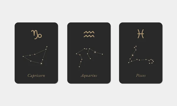 Capricorn Aquarius Pisces Constellations Vector Design Ручний Drawn Capricorn Aquarius — стоковий вектор