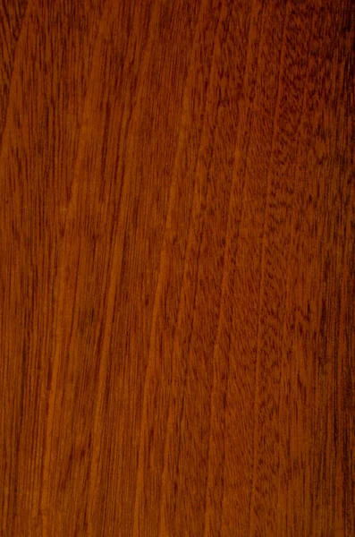 Mahogany tree texture. Close-up.