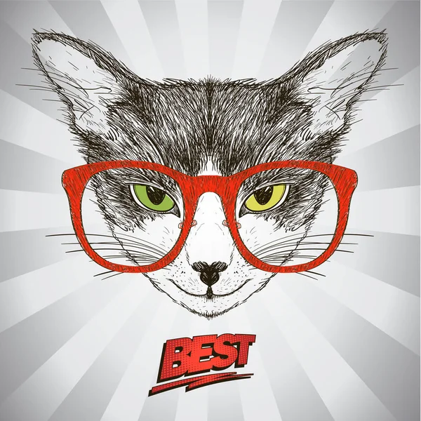 Graphic poster with hipster cat dressed in red glasses, against pop-art background with rays — Stock Vector