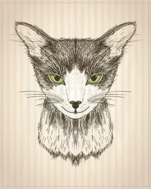 Grafik poster kedi portre, elle çizilmiş vektör çizim ile