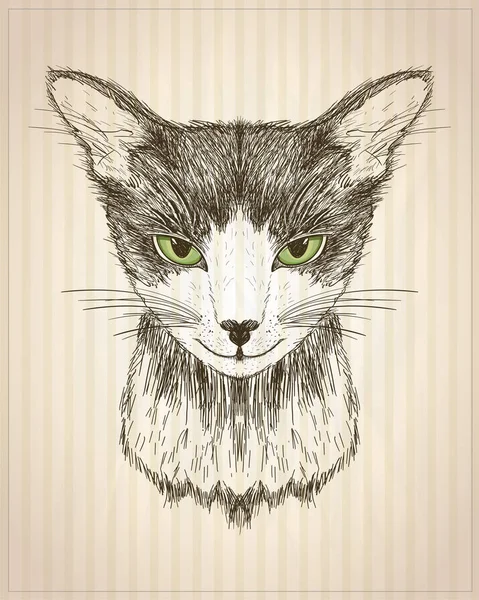 Cartel gráfico con retrato de gato, ilustración vectorial dibujada a mano — Archivo Imágenes Vectoriales