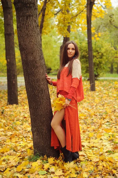 Mujer bastante joven posando en el parque de otoño — Foto de Stock