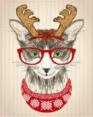 Kırmızı gözlük takmış hippi bir kedi, geyik boynuzu şapkası ve kırmızı örgü süveter, yeni yıl kartı, Noel evcil hayvanı komik moda